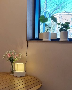 Güzel botanik fotoğrafı, doğal duvar kağıdı.