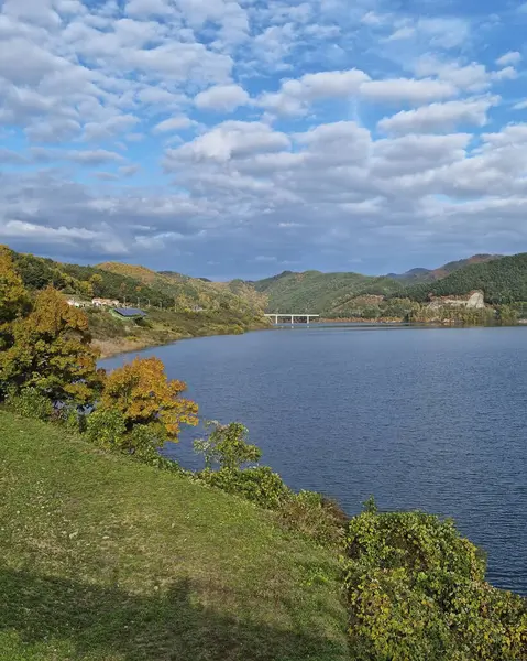 Parktaki nehrin güzel manzarası