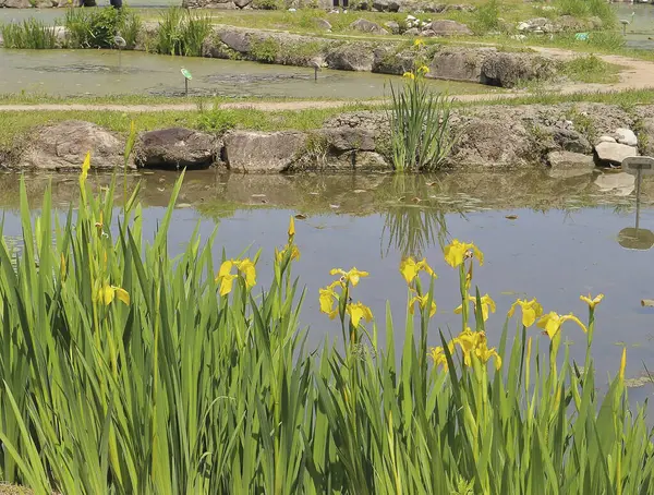 Doğa manzarası çok güzel.