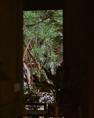 Doğanın güzel manzarası