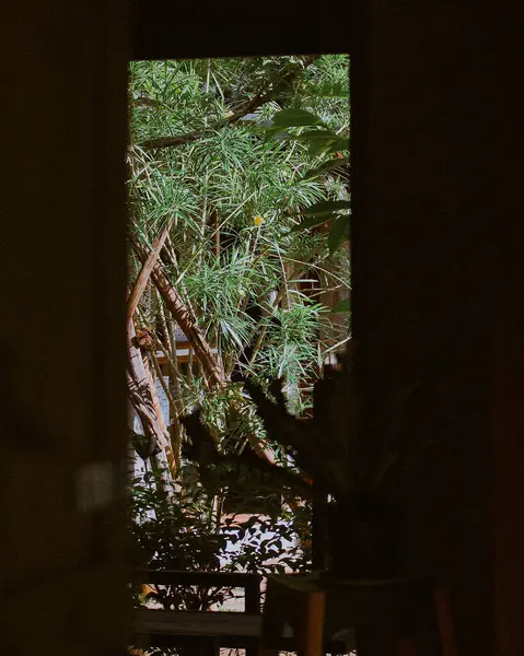 Doğanın güzel manzarası