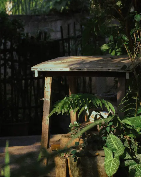 Parktaki ahşap bank.