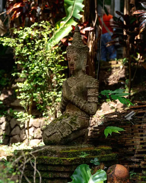 Buddha bahçede, kapat..