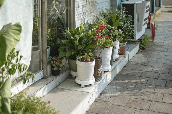 Çiçekler ve saksılar balkonda