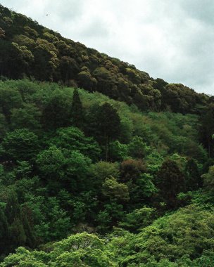 Dağların güzel manzarası