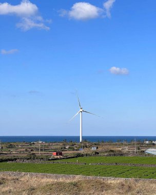 Tarlada rüzgar türbinleri olan yel değirmeni.