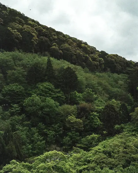 Dağların güzel manzarası