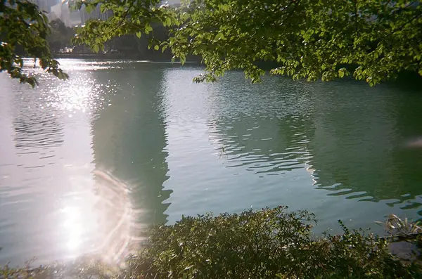 Sabah göl manzarası çok güzel.