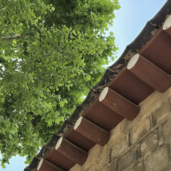 Penceresi olan eski ahşap bir ev