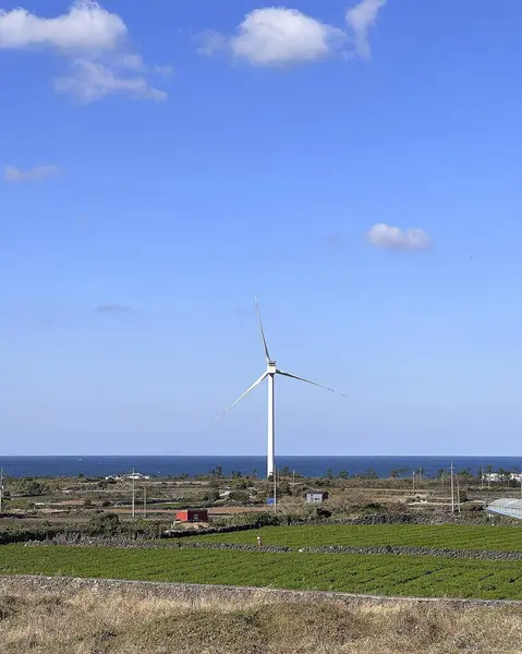 Tarlada rüzgar türbinleri olan yel değirmeni.