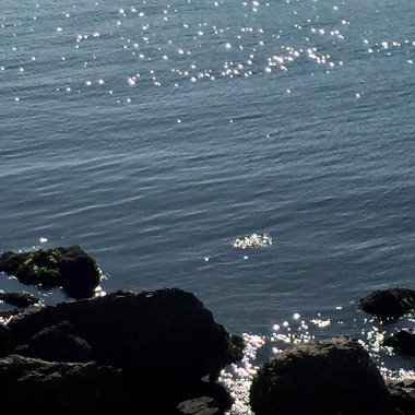 Denizde su dalgaları