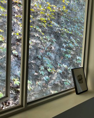 pencere saydam perde ile