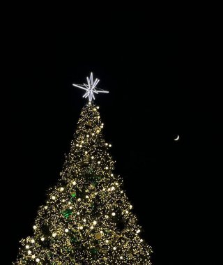 Noel ışıklarıyla süslenmiş güzel bir Noel ağacı. Noel ağacı.