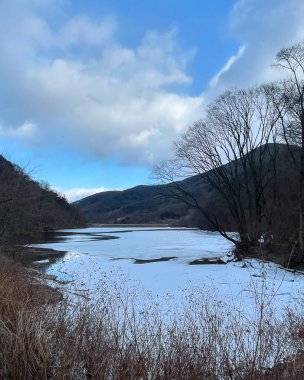 Ağacı ve nehri olan güzel bir manzara.