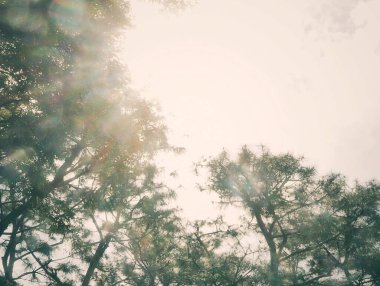 soyut arkaplan, bobokeh, boşluğu kopyala