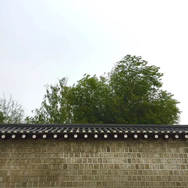 Şehirdeki eski tuğla duvar