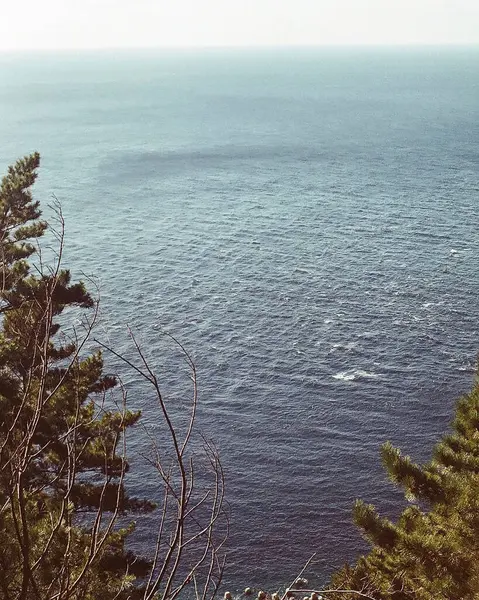 Güzel deniz manzarası