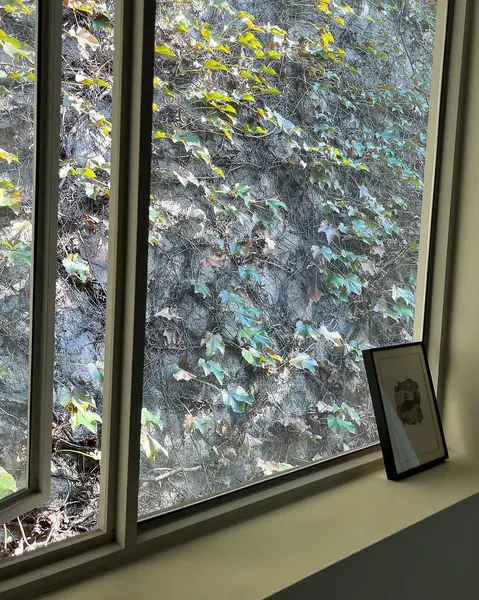 pencere saydam perde ile