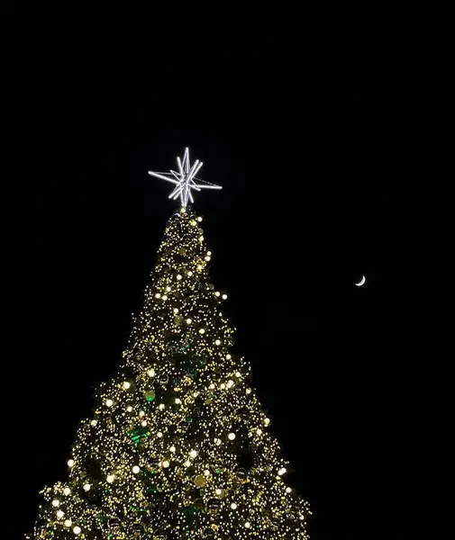 Noel ışıklarıyla süslenmiş güzel bir Noel ağacı. Noel ağacı.