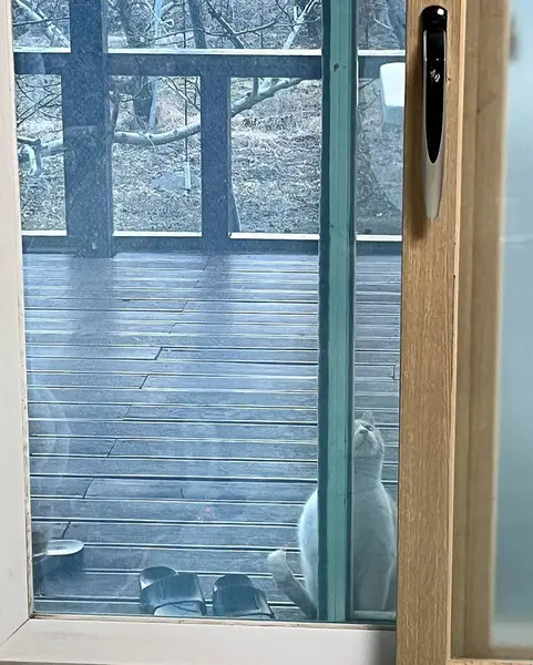 Modern bir apartmanın içinde.