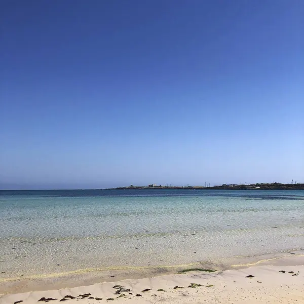 Beyaz kumlu ve mavi denizli güzel sahil