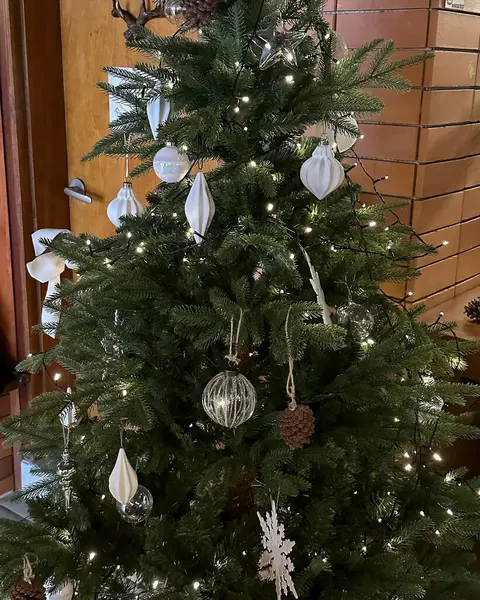 Fiyonklu bir Noel ağacı