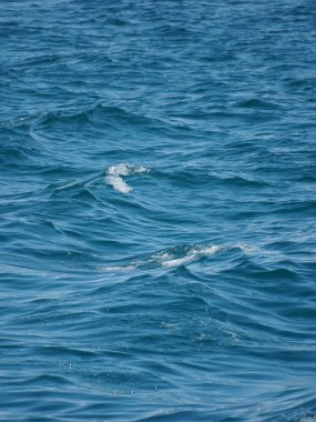 Dalgalar denize vurur