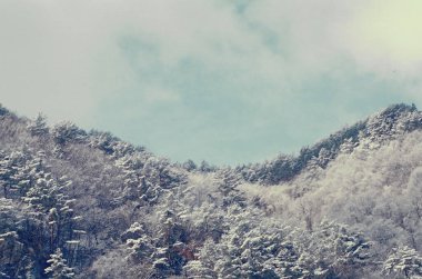 Güzel kış manzarası karla kaplı dağlarda