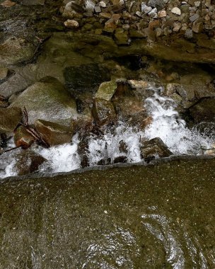 Ormandaki su akıntısı