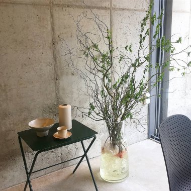 Beyaz vazo ve masa üzerinde bitki olan bir bardak suya yakın çekim.