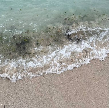 Sahilde güzel deniz dalgaları