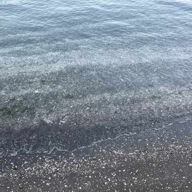 Sahildeki deniz dalgaları