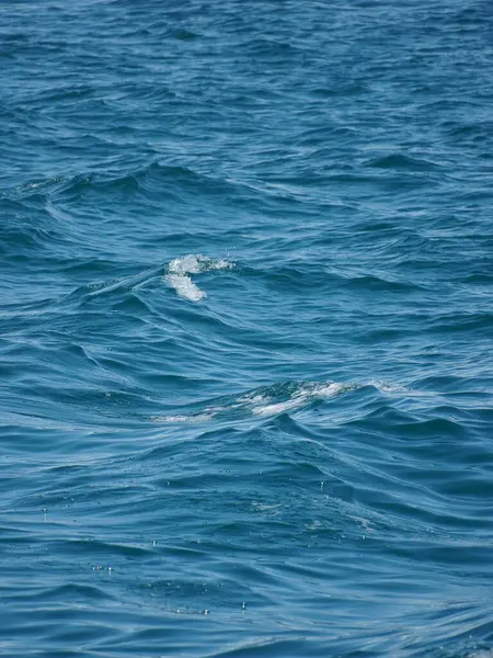 Dalgalar denize vurur