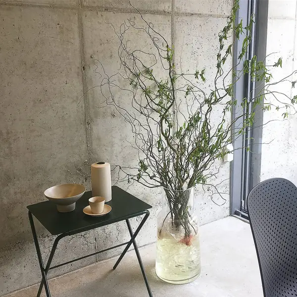 Beyaz vazo ve masa üzerinde bitki olan bir bardak suya yakın çekim.