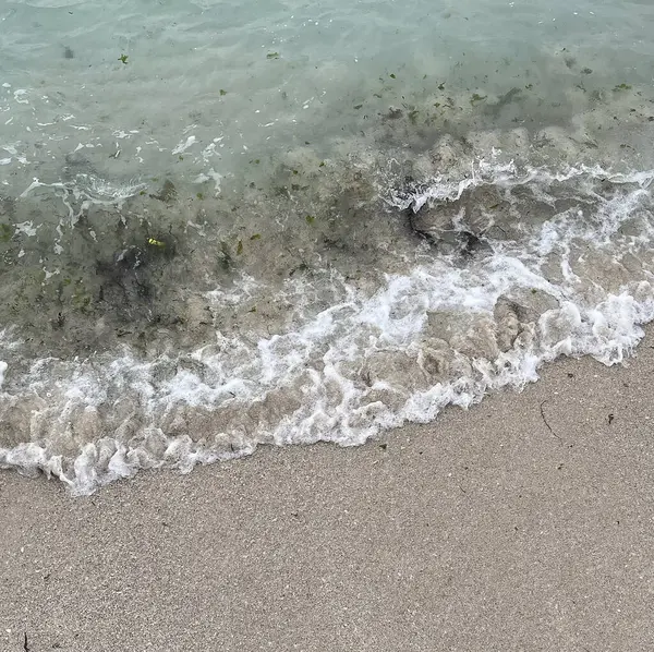 Sahilde güzel deniz dalgaları