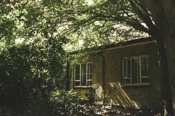 Şehirde terk edilmiş eski bir ev.