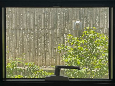 bir bardak su ile pencere