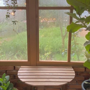 Ormanda yeşil yapraklar