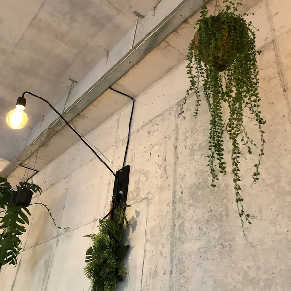 Şehirde yeşil santral