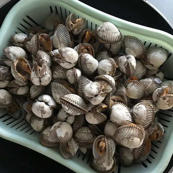 Tencerede taze midyeler