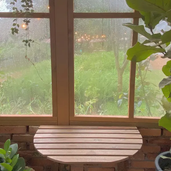 Ormanda yeşil yapraklar