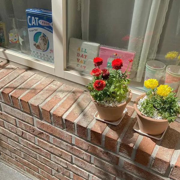 Modern bir evin içinde.