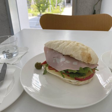 Somon ve domatesli sandviç.