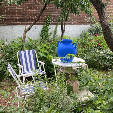 Saksıda yeşil bitkiler