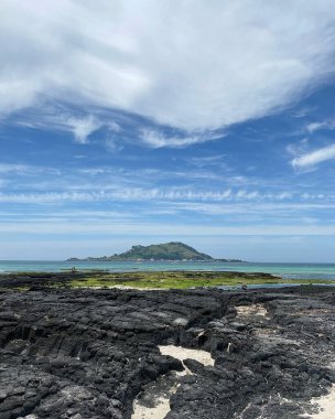 Deniz kıyısının güzel manzarası