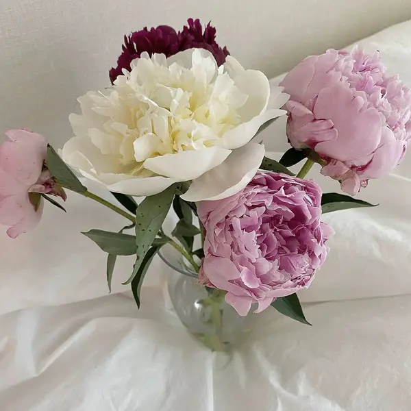 Vazodaki şakayık çiçekleri. Çiçek arkaplanı