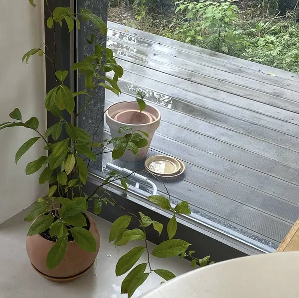 Güzel bir ev manzarası.