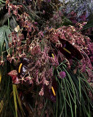 Bahçedeki güzel çiçekler, yaz çiçekleri