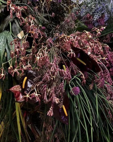 Bahçedeki güzel çiçekler, yaz çiçekleri