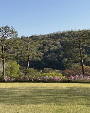 Parkın güzel manzarası